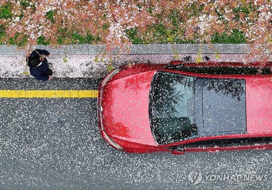 [날씨] 11일과 12일주말, 다시 봄 기운 맴돈다…황사·일교차는 주의 필요